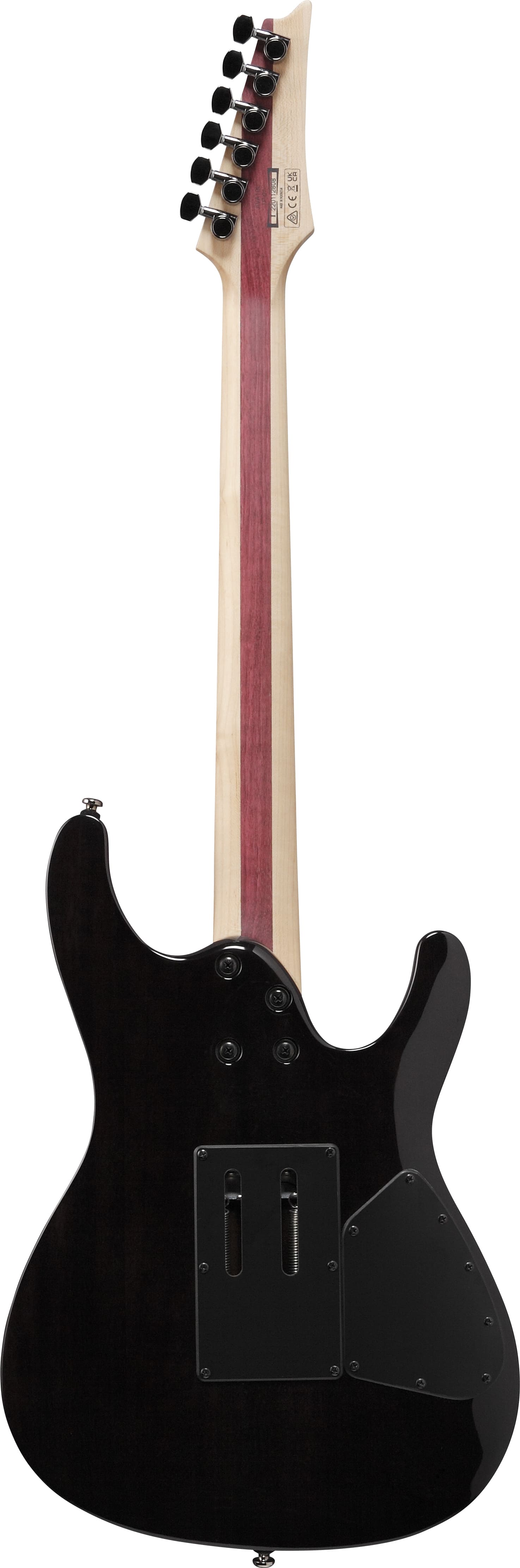 Ibanez JIVA10L-DSB