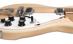RN620MG_Pickguard