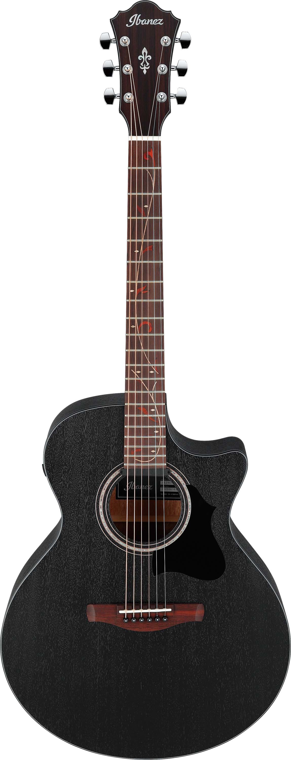 Ibanez-AE295-WK_1