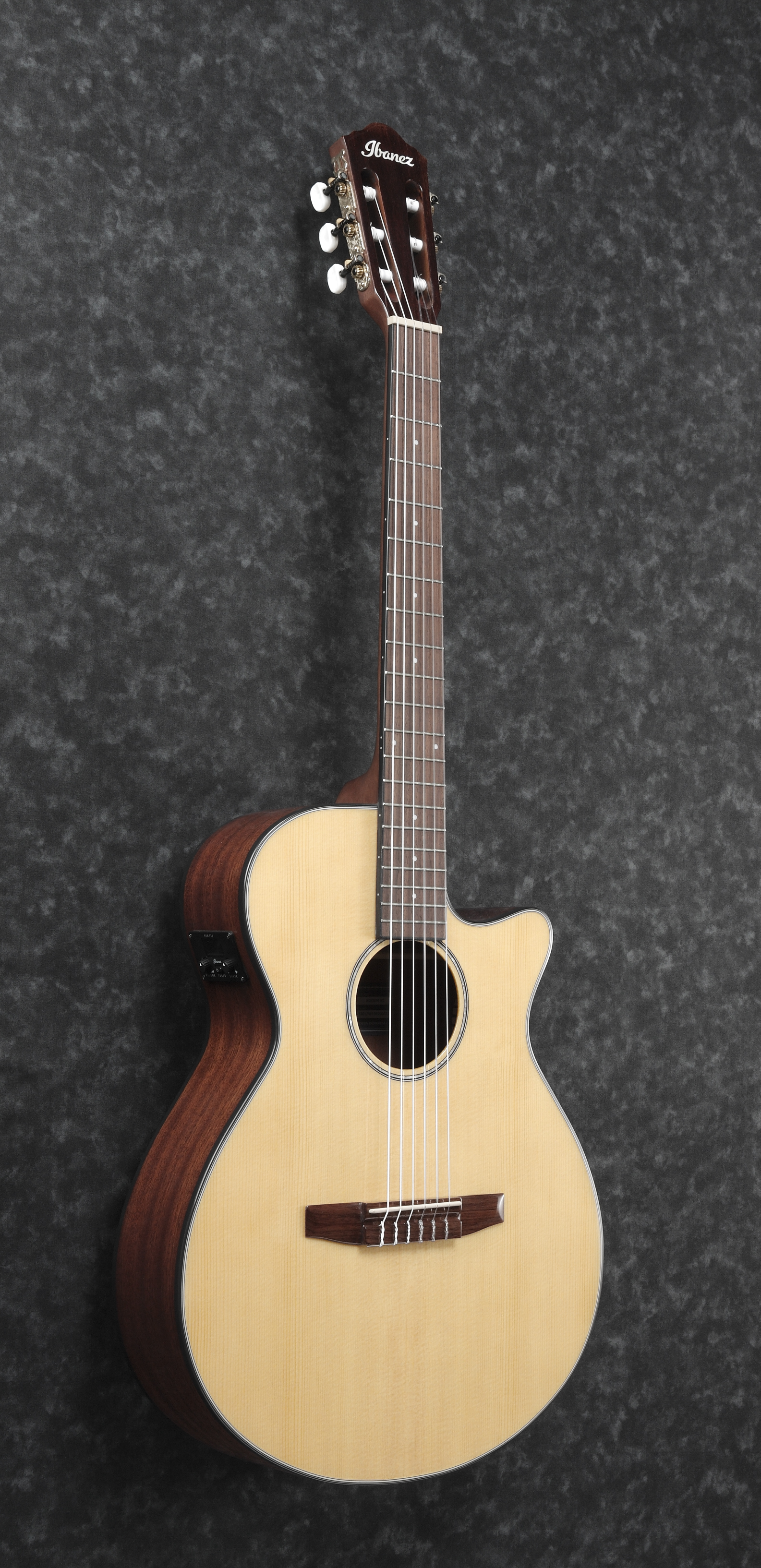 Ibanez AEG50N-NT