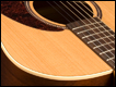 seagull-coastline-cedar-grand-1 Seagull Coastline Cedar Grand