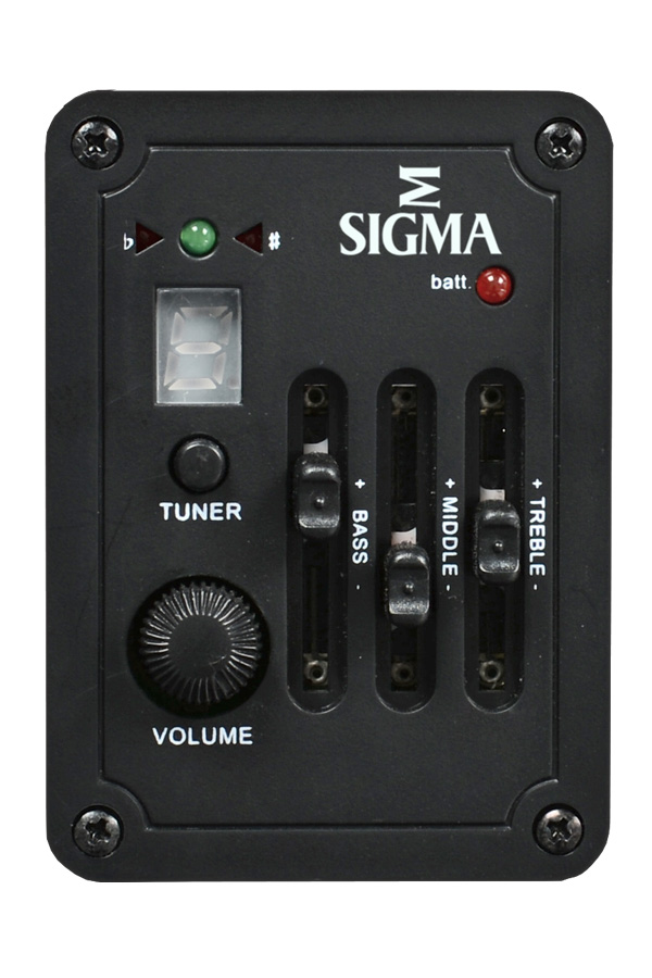 Sigma Guitars TM-15E