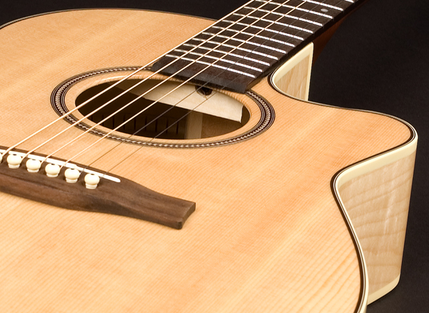seagull-performer-cw-mini-jumbo-q1-1