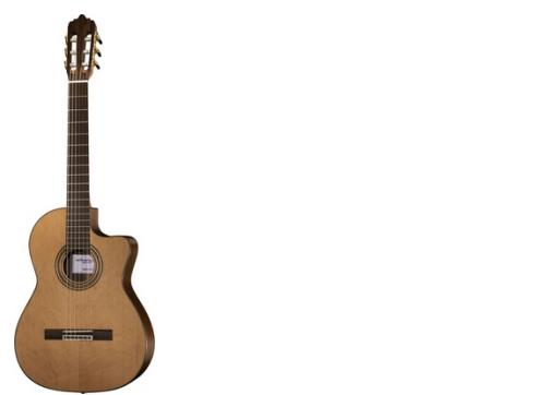 lamancha-topacio-cwe